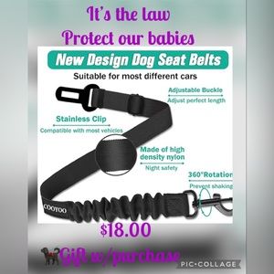 Néw pet safety belt